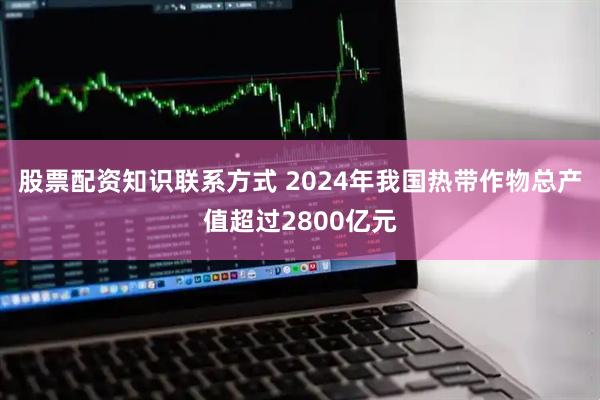 股票配资知识联系方式 2024年我国热带作物总产值超过2800亿元